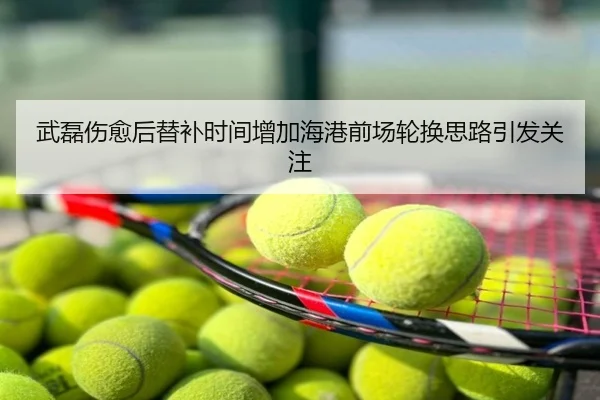武磊伤愈后替补时间增加海港前场轮换思路引发关注